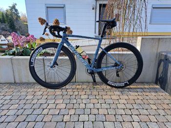 Specialized, Allez Sprint Frameset - D'Aluisio Smartweld Alloy 2025