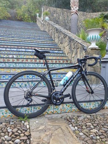 Focus, IZALCO RACE 9.8 2020
