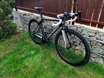 Used Colnago Ac-r Shimano 105 2014 Road & Gravel — image 4 of 9