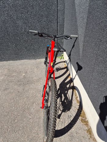 Used Canyon Strive CF 5.0 2019 2019 Mountainbike, Red, 29 — image 3 of 11