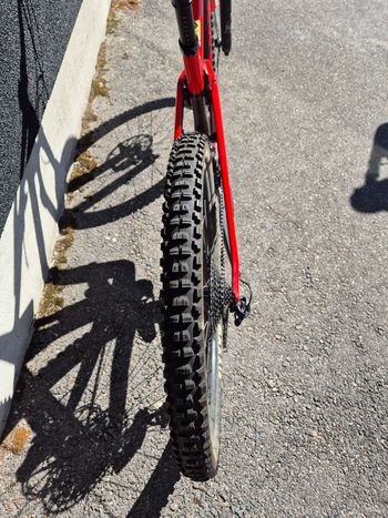 Used Canyon Strive CF 5.0 2019 2019 Mountainbike, Red, 29 — image 7 of 11