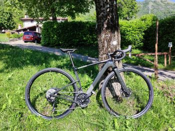Cannondale, Topstone Carbon 4 2024