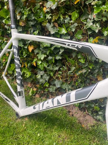 Used Giant Tcr Frameset 2015 Road & Gravel, Bianco — image 7 of 10