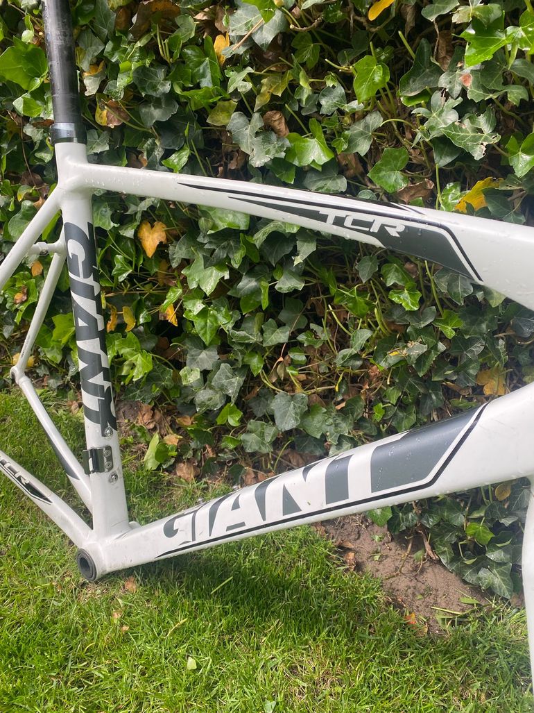 Used Giant Tcr Frameset 2015 Road & Gravel, Bianco — image 7 of 10