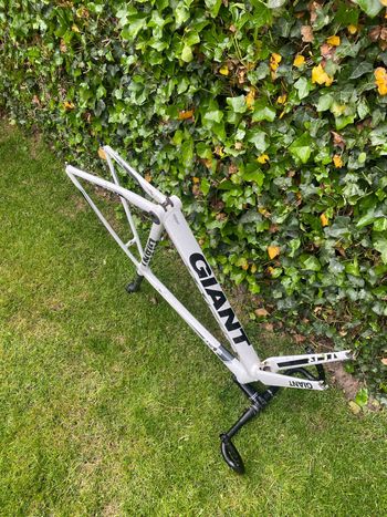 Used Giant Tcr Frameset 2015 Road & Gravel, Bianco — image 10 of 10
