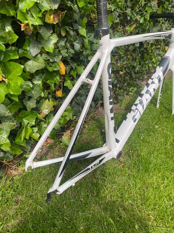 Used Giant Tcr Frameset 2015 Road & Gravel, Bianco — image 3 of 10