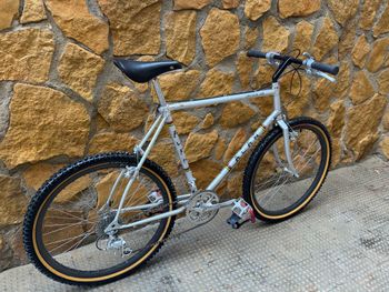 Used Alan Alan Custom Other Campagnolo 1989 Mountainbike, Grigio chiaro — image 4 of 14