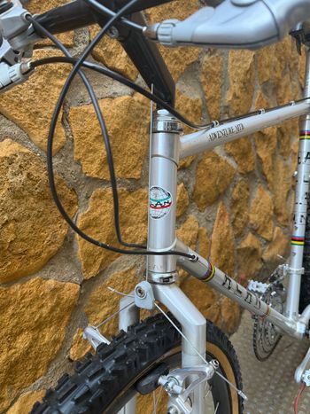 Used Alan Alan Custom Other Campagnolo 1989 Mountainbike, Grigio chiaro — image 13 of 14