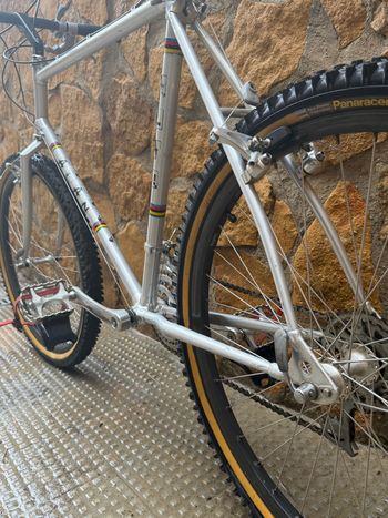 Used Alan Alan Custom Other Campagnolo 1989 Mountainbike, Grigio chiaro — image 12 of 14