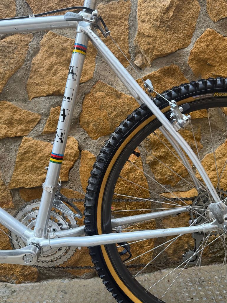 Used Alan Alan Custom Other Campagnolo 1989 Mountainbike, Grigio chiaro — image 11 of 14