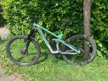 Used Canyon Strive CF 8 2021 2021 Mountainbike — image 2 of 5