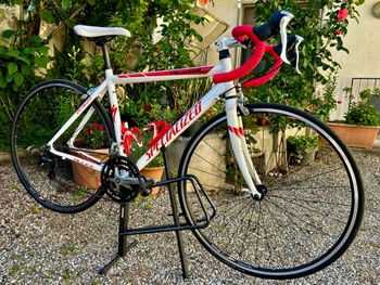 Specialized, Allez Shimano Tiagra