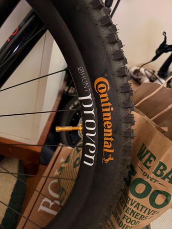 Used GT Sensor Carbon Elite 2025 2025 Mountainbike, Light Gray, 29 — image 5 of 5
