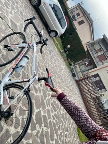 Wilier, Wilier GTR