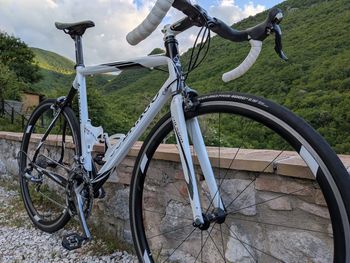 Used Colnago Dream HX Ultegra (2008) 2008 Road & Gravel, Weiß — image 3 of 18