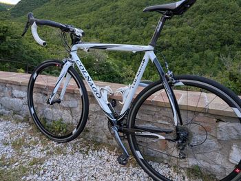 Used Colnago Dream HX Ultegra (2008) 2008 Road & Gravel, Weiß — image 11 of 18