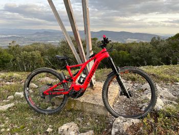 Specialized, Alloy
