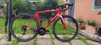 Used Wilier GTR Team SHIMANO ULTEGRA R8000 2021 2021 Road & Gravel