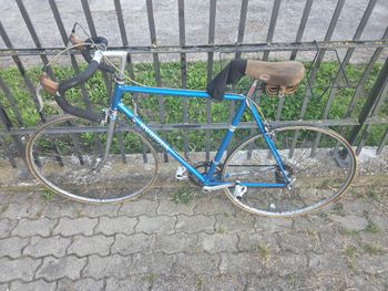 Rubiola, Rubiola Custom Other Campagnolo
