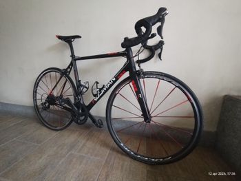 Rodman, Mizar Pro