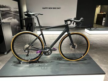 Rose, REVEAL 06 Ultegra 2023