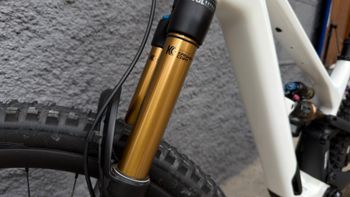 Used Canyon Spectral CF LTD 2024 2024 Mountainbike — image 8 of 10