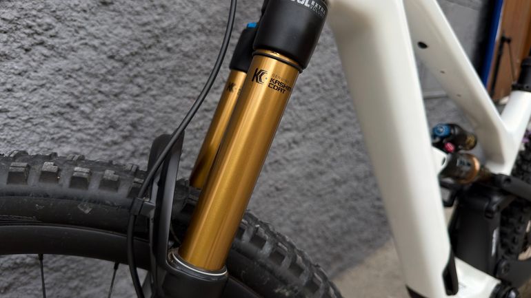 Used Canyon Spectral CF LTD 2024 2024 Mountainbike — image 8 of 10