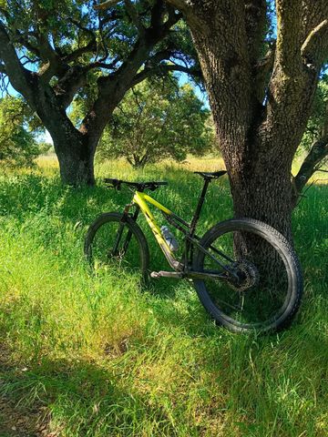 Tweedehands BMC Fourstroke Shimano XTR 2024 Mountainbike — afbeelding 2 van 7