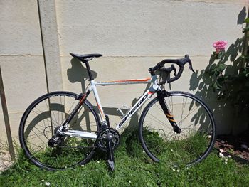 spego, Spego 120