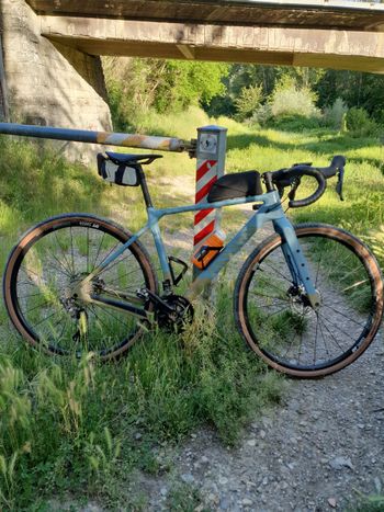 Canyon, Grizl CF SL 7 2021