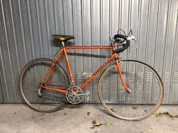 VICINI, VICINI Custom Campagnolo Veloce