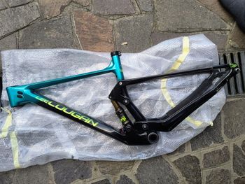 Used Lee Cougan Crossfire 428 2021 Frameset 2021 Mountainbike, Verde — image 2 of 12