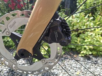 Used Cervélo Soloist Ultegra Di2 2025 2025 Road & Gravel, Orange — image 3 of 8