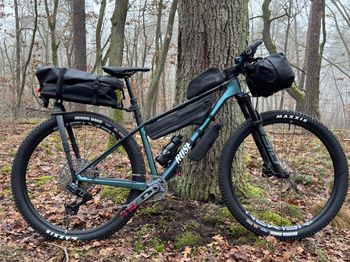 Used Rose PDQ 2 2024 2024 Mountainbike, Grün, 29 — image 10 of 11