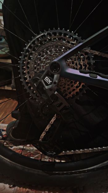 Used Rose PDQ 2 2024 2024 Mountainbike, Grün, 29 — image 3 of 11