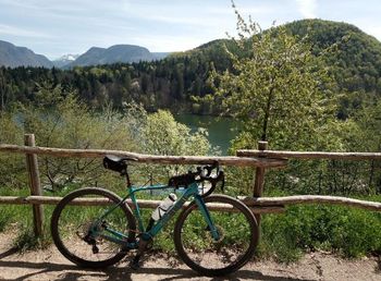 Used Cinelli King Zydeco Ekar 1x 2022 2022 Road & Gravel, Blue — image 4 of 4