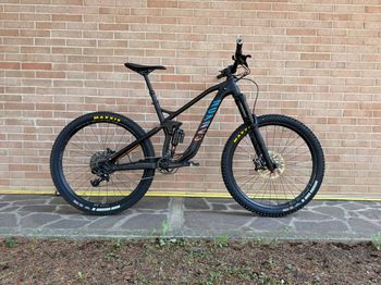 Canyon, Strive AL 5.0 Race 2017