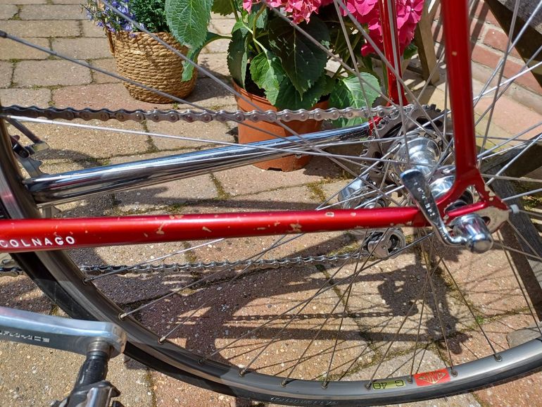 Used Colnago Colnago Nuovo Mexico 1983 Road & Gravel — image 1 of 15