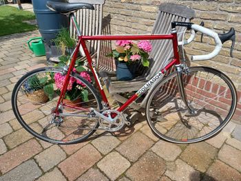 Used Colnago Colnago Nuovo Mexico 1983 Road & Gravel — image 2 of 15