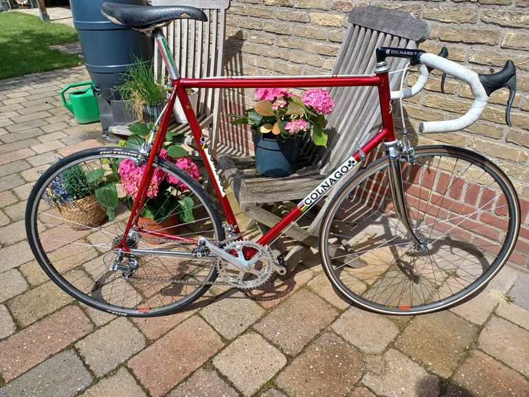Used Colnago Colnago Nuovo Mexico 1983 Road & Gravel — image 2 of 15