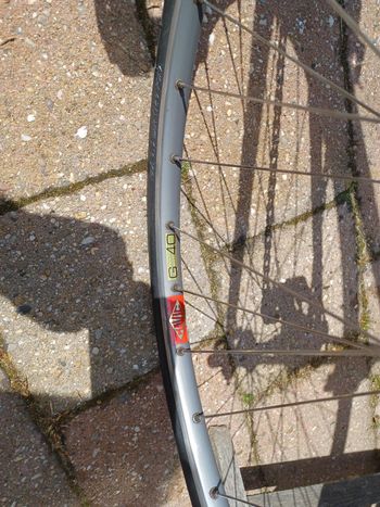 Used Colnago Colnago Nuovo Mexico 1983 Road & Gravel — image 14 of 15