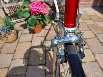Used Colnago Colnago Nuovo Mexico 1983 Road & Gravel — image 15 of 15