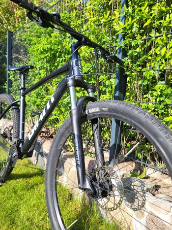 Used Giant Talon 3 2021 2021 Mountainbike, Schwarz, 27.5, 29 — image 3 of 12