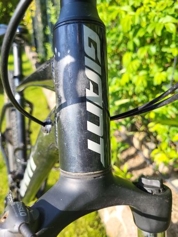 Used Giant Talon 3 2021 2021 Mountainbike, Schwarz, 27.5, 29 — image 6 of 12
