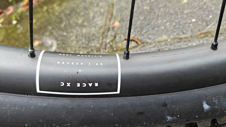 Used Canyon Canyon Lux Trail CF 6 2022 Mountainbike — image 5 of 13