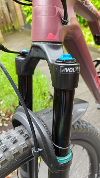 Used Canyon Canyon Lux Trail CF 6 2022 Mountainbike — image 2 of 13