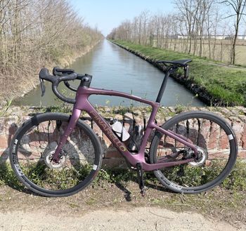 Used Pinarello Grevil Shimano GRX Di2 2025 Road & Gravel, Purple — image 7 of 7