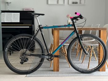 Used Bianchi Peregrine Adventure Restomod 1992 Route & Gravel