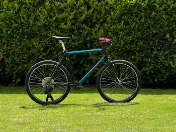Used Bianchi Peregrine Adventure Restomod 1992 Road & Gravel — image 2 of 12