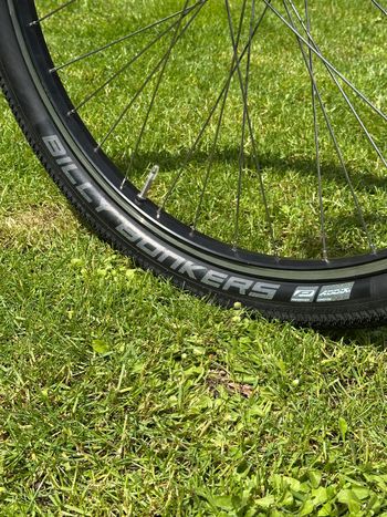 Used Bianchi Peregrine Adventure Restomod 1992 Road & Gravel — image 12 of 12